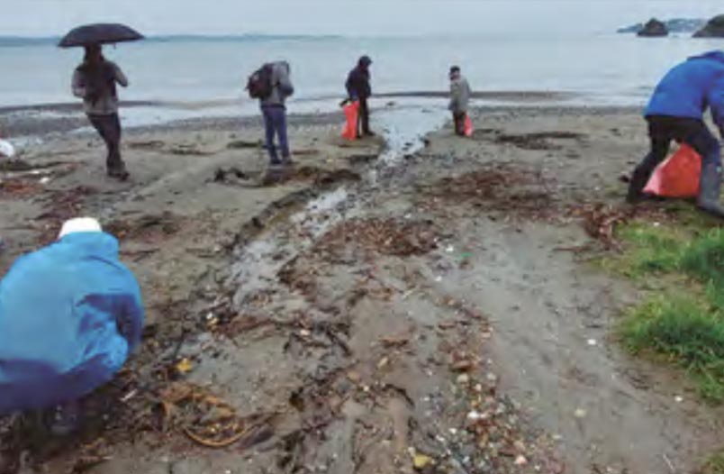 Voluntarios participando de la limpieza de playa Puquillihue