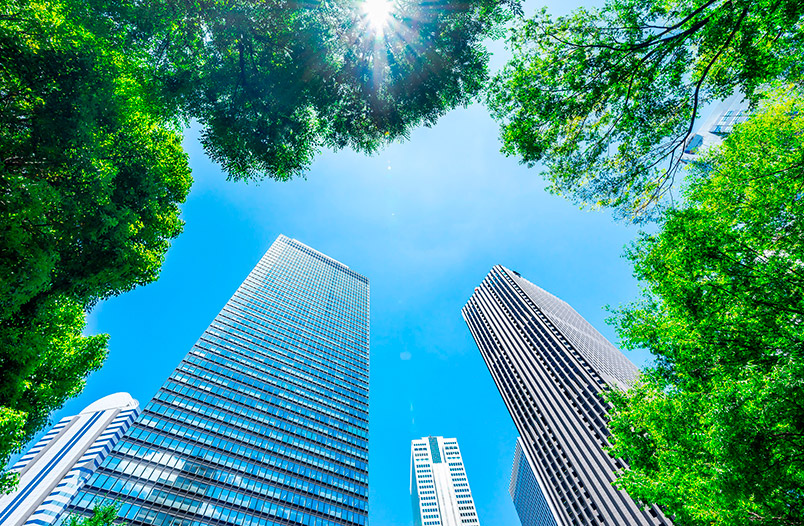 Los árboles reducen el calor en las ciudades